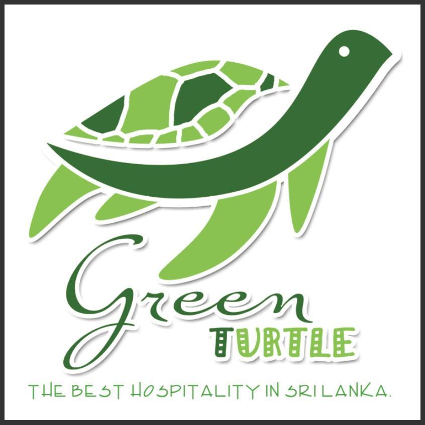 تانجالي Green Turtle المظهر الخارجي الصورة